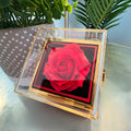 Chapters Squeezed Name - Daughter Birthday Necklace with Rose Box