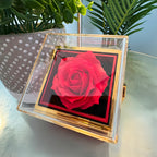 I'm Sorry Gifts For Her - Love Knot with Rotating Rose Gift Box